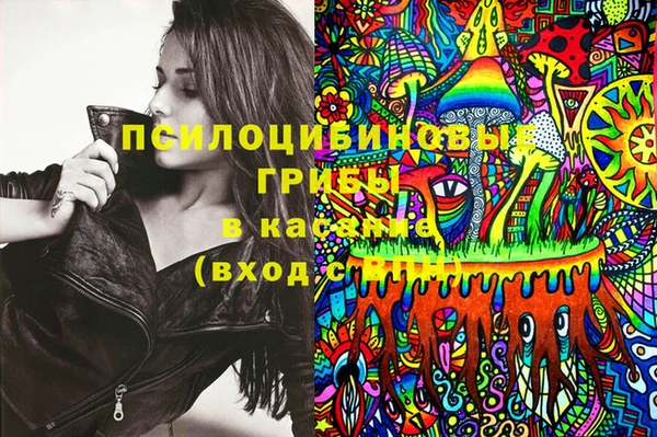 сатива Алексеевка