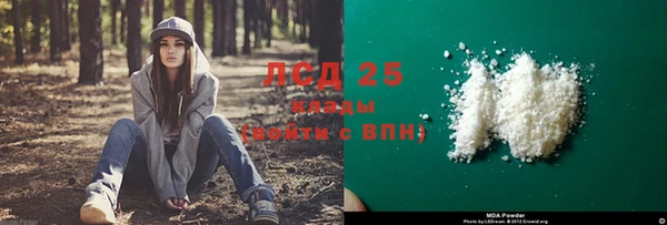 spice Алзамай