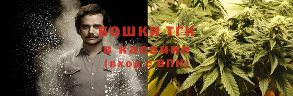 трава Семилуки