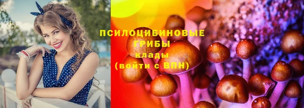 spice Алзамай